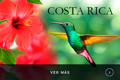 Costa rica negro