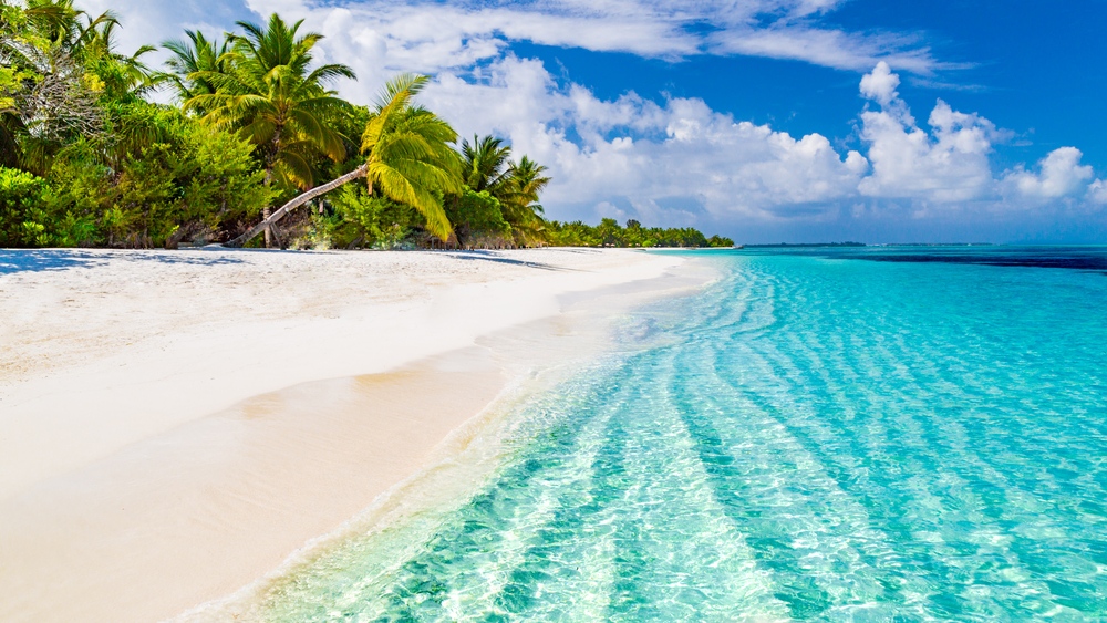 https://maleitravelgroup.com/viajes/assets/upload/d1195.jpg