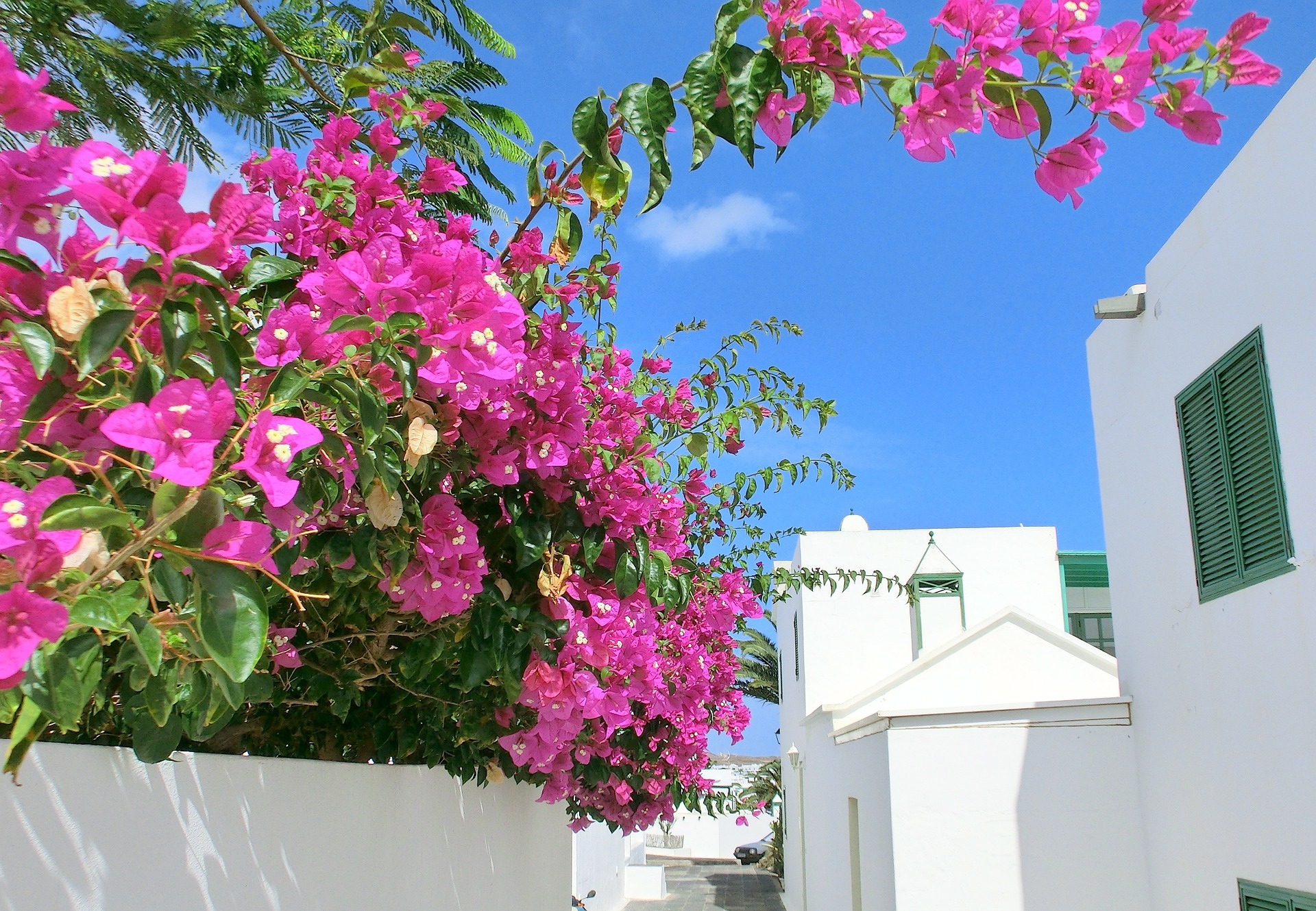 https://maleitravelgroup.com/viajes/assets/upload/d33.jpg
