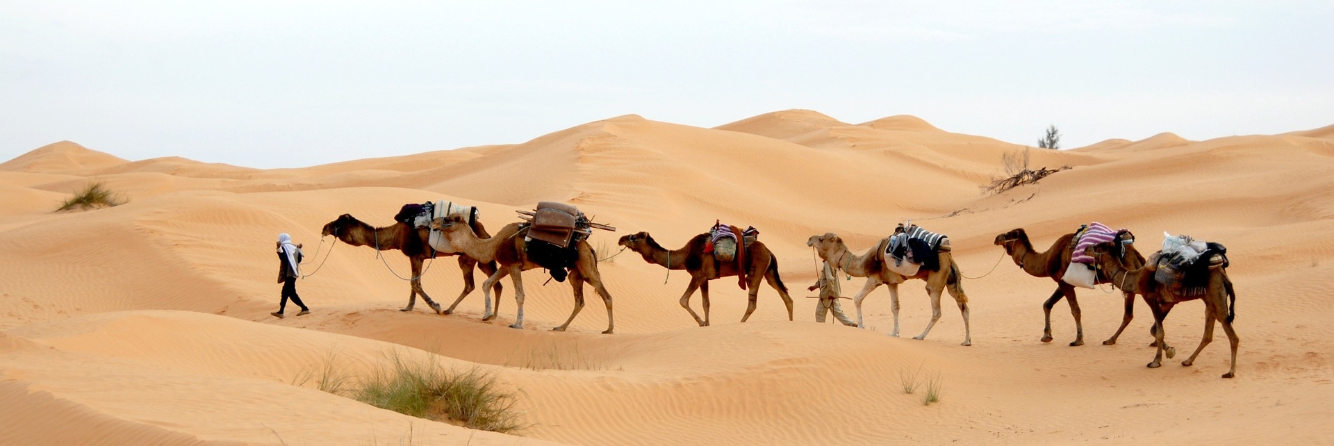 https://maleitravelgroup.com/viajes/assets/upload/p201.jpg